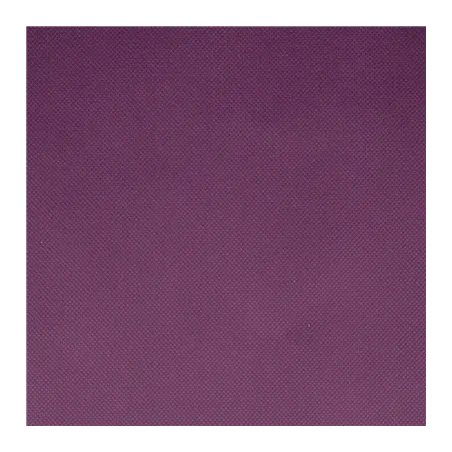 NAPPE SPUNBOND  60 G/M2 1,20x50 M VIOLET PP (1 UNITÉ)