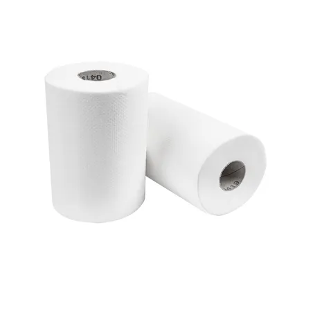 SERVIETTES MINI BARRIL ECOLABEL 1 PLIES  22 G/M2 Ø 13x20 CM BLANC OUATE (12 UNITÉ)