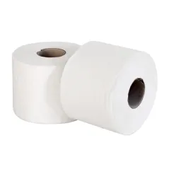 PAPIER TOILETTE ECOLABEL 2 COUCHES 73M 17 G/M2 Ø12,5x9,5 CM BLANC OUATE (30 UNITÉ)