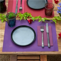 SETS DE TABLE SPUNBOND  60 G/M2 30x40 CM VIOLET PP (800 UNITÉ)