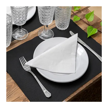 SETS DE TABLE SPUNBOND  60 G/M2 30x40 CM NOIR PP (800 UNITÉ)