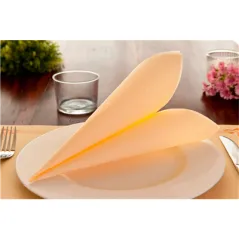 SERVIETTES ECOLABEL DOUBLE POINT  18 G/M2 39x39 CM IVOIRE OUATE (1200 UNITÉ)