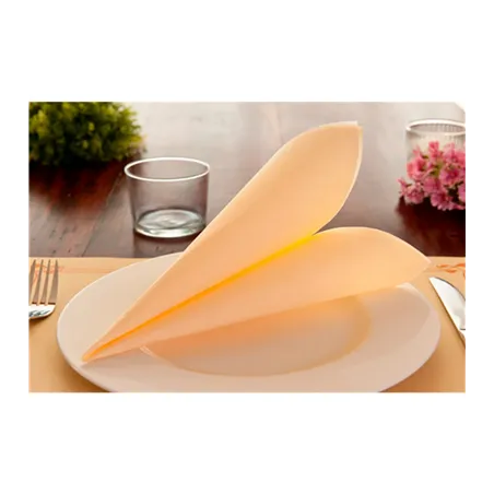 SERVIETTES ECOLABEL DOUBLE POINT  18 G/M2 39x39 CM IVOIRE OUATE (1200 UNITÉ)