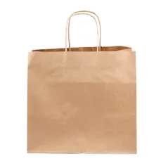 SACS SOS TRAITEUR AVEC ANSES  80 G/M2 26+17x24 CM NATUREL KRAFT (250 UNITÉ)