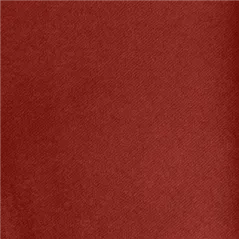 "TÊTE-À-TÊTE" PRÉ. 120CM (20 FEU.)  55 G/M2 0,40x24 M BORDEAUX AIRLAID (6 UNITÉ)