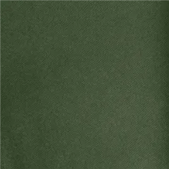 "TÊTE-À-TÊTE" PRÉ. 120CM (20 FEU.)  55 G/M2 0,40x24 M VERT JAGUAR AIRLAID (6 UNITÉ)