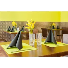 SETS DE TABLE SPUNBOND  60 G/M2 30x40 CM LIME PP (800 UNITÉ)