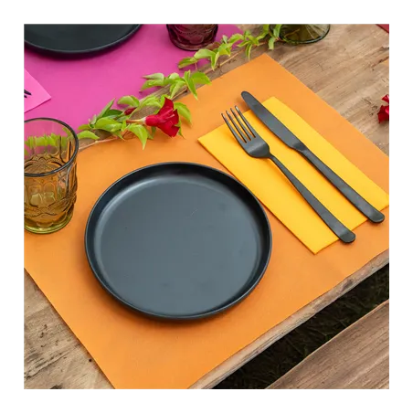 SETS DE TABLE SPUNBOND  60 G/M2 30x40 CM ORANGE PP (800 UNITÉ)