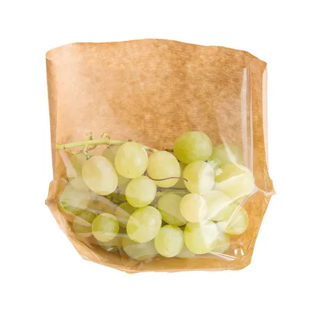 RÉCIPIENTS AVEC BASE ET FENÊTRE