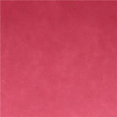 "TÊTE-À-TÊTE" PRÉ. 120 CM (40 FEU.) SPUNBOND 60 G/M2 0,40x48 M FRAMBOISE PP (6 UNITÉ)