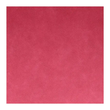 "TÊTE-À-TÊTE" PRÉ. 120 CM (40 FEU.) SPUNBOND  60 G/M2 0,40x48 M FRAMBOISE PP (6 UNITÉ)