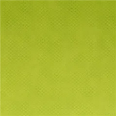 "TÊTE-À-TÊTE" PRÉ. 120 CM (40 FEU.) SPUNBOND 60 G/M2 0,40x48 M LIME PP (6 UNITÉ)