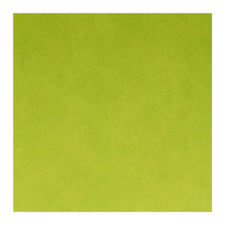 NAPPE PRÉ-DÉCOUPÉE 120 CM SPUNBOND  60 G/M2 1,20x50,4 M LIME PP (1 UNITÉ)