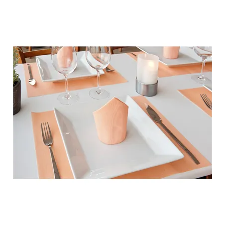 SETS DE TABLE 'DRY COTTON' 55 G/M2 30x40 CM MANDARINE AIRLAID (800 UNITÉ)