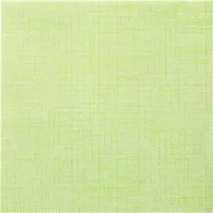 "TÊTE-À-TÊTE" PRÉ. 120CM (20 FEU.) 'DRY COTTON' 55 G/M2 0,40x24 M KIWI AIRLAID (6 UNITÉ)