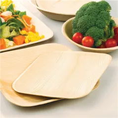PLATEAUX RECTANGULAIRES ARECA  22,5x14,5x3 CM NATUREL ARECA (200 UNITÉ)