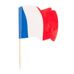 PETITS DRAPEAUX - FRANCE