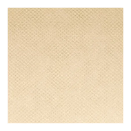NAPPE SPUNBOND  60 G/M2 1,20x50 M CREME PP (1 UNITÉ)