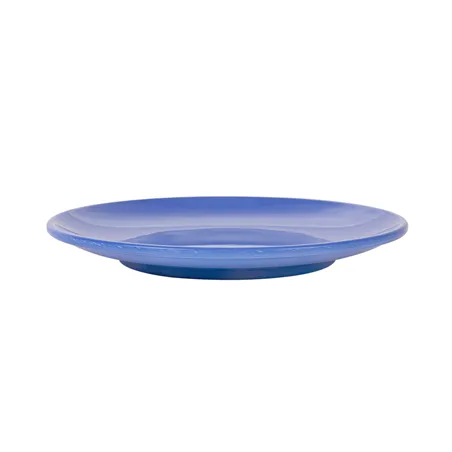 ASSIETTES ASAMI WARE  Ø 23 CM BLEU MÉLAMINE (12 UNITÉ)