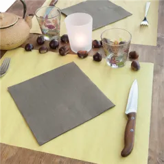 SETS DE TABLE FEEL GREEN  90 G/M2 31x43 CM PAILLE PAPIER RECYCLÉ (1250 UNITÉ)