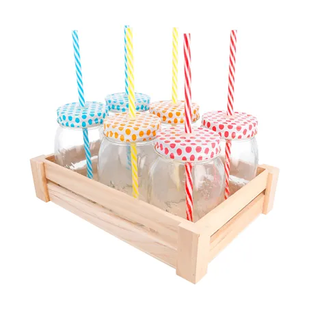 SET 6 PICHETS+PAILLE AVEC BOÎTE