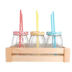 SET 6 PICHETS+PAILLE AVEC BOÎTE  530 ML Ø 8,8x13,3 CM TRANSPARENT VERRE (6 UNITÉ)