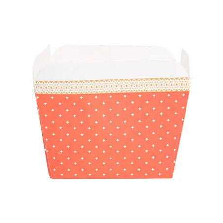 DELI-BARQUETTES  210 + 15 PE G/M2 4,8x4,8x4,9 CM ASSORTI CARTON (100 UNITÉ)