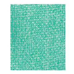 25 U. LAVETTES SUPER PERFOKLEEN  80 G/M2 36x42,5 CM VERT VISCOSE (1 UNITÉ)