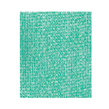 25 U. LAVETTES SUPER PERFOKLEEN  80 G/M2 36x42,5 CM VERT VISCOSE (1 UNITÉ)