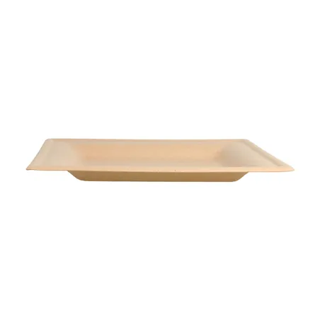 ASSIETTES CARRÉES BIONIC  16x16x1 CM NATUREL BAGASSE (1000 UNITÉ)