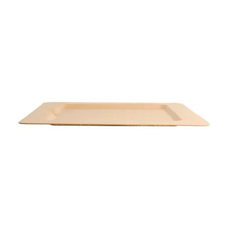 ASSIETTES CARRÉES BIONIC  20x20x1 CM NATUREL BAGASSE (200 UNITÉ)