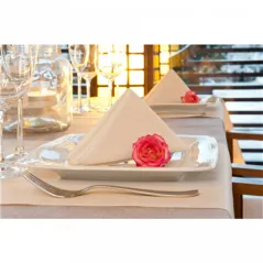 SERVIETTES 2 FACES LIKE LINEN  70 G/M2 40x40 CM CREME SPUNLACE (600 UNITÉ)