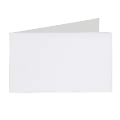 SERVIETTES ESSUIE-MAINS FLUSHABLES