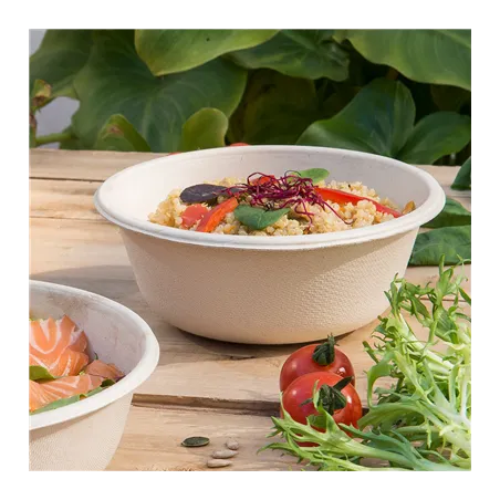 SALADIERS BIONIC 350 ML Ø 13,5x4,6 CM NATUREL BAGASSE (900 UNITÉ)