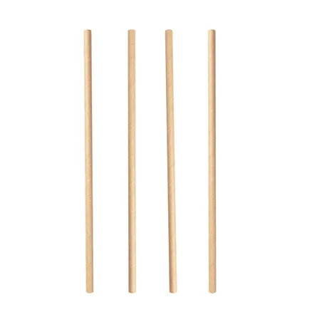 PAILLES DROITES