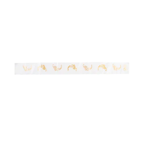 BANDES SANITAIRES WC
