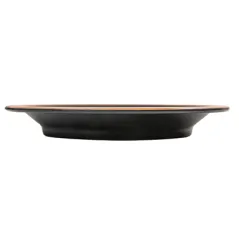 ASSIETTES ASAMI WARE 650 ML Ø25,4x3,4 CM NOIR MÉLAMINE (12 UNITÉ)