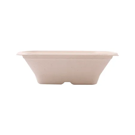 BOLS CARRÉS BIONIC 700 ML 18x18x6 CM NATUREL BAGASSE (400 UNITÉ)