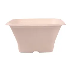 BOLS CARRÉS BIONIC 1,2 L 18x18x9 CM NATUREL BAGASSE (400 UNITÉ)