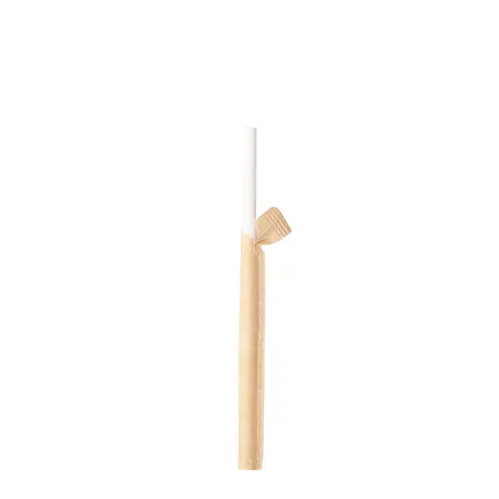 PAILLES DROITES SOUS SACHETS KRAFT
