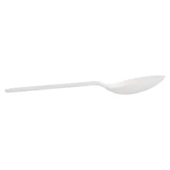 PETITES CUILLÈRES   12,7 CM BLANC CPLA (2000 UNITÉ)