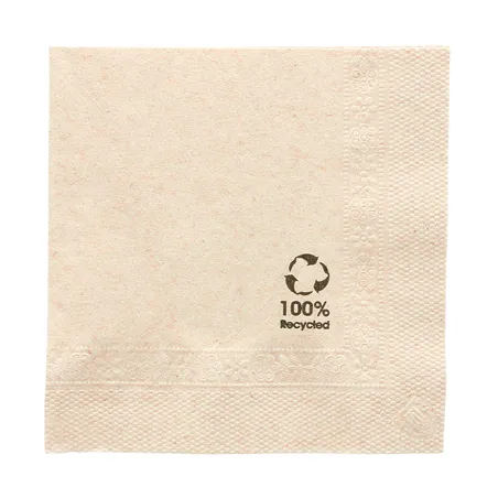 SERVIETTES ECOLABEL 2 PLIS