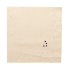 SERVIETTES ECOLABEL 2 PLIS