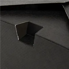 BOÎTES AMÉRICAINES MICRO-ONDABLES