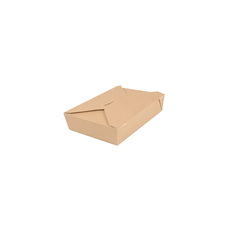 BOÎTES AMÉRICAINES MICRO-ONDABLES THEPACK 1470 ML 19,6x14x4,5 CM NATUREL CARTON NANO-MICRO + PP (300 UNITÉ)