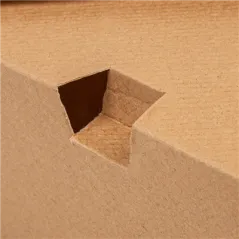 BOÎTES AMÉRICAINES MICRO-ONDABLES
