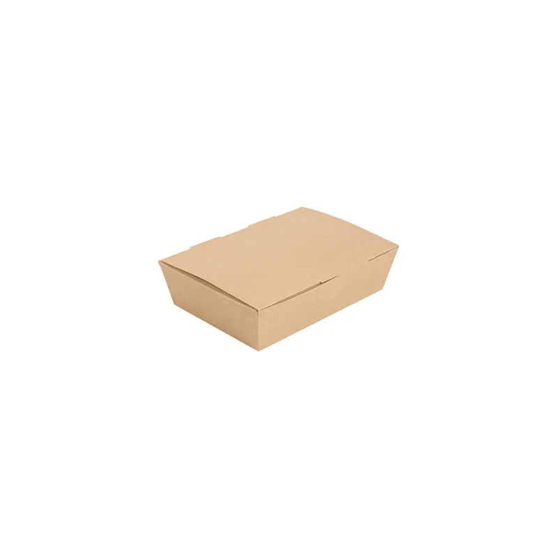 BOÎTES "LUNCH BOX" COUVERCLES THEPACK 1000 ML (32 oz) 20,5x14,6x5 CM NATUREL CARTON NANO-MICRO (360 UNITÉ)