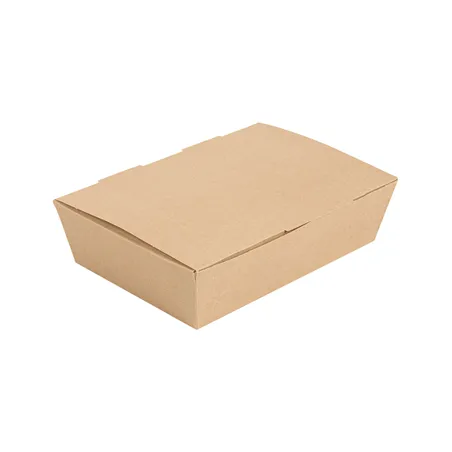 BOÎTES "LUNCH BOX" COUVERCLES