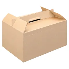 BOÎTES TRANSPORT DE REPAS