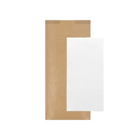 SERVIETTES D.P RECYCLÉES EMBALLÉES